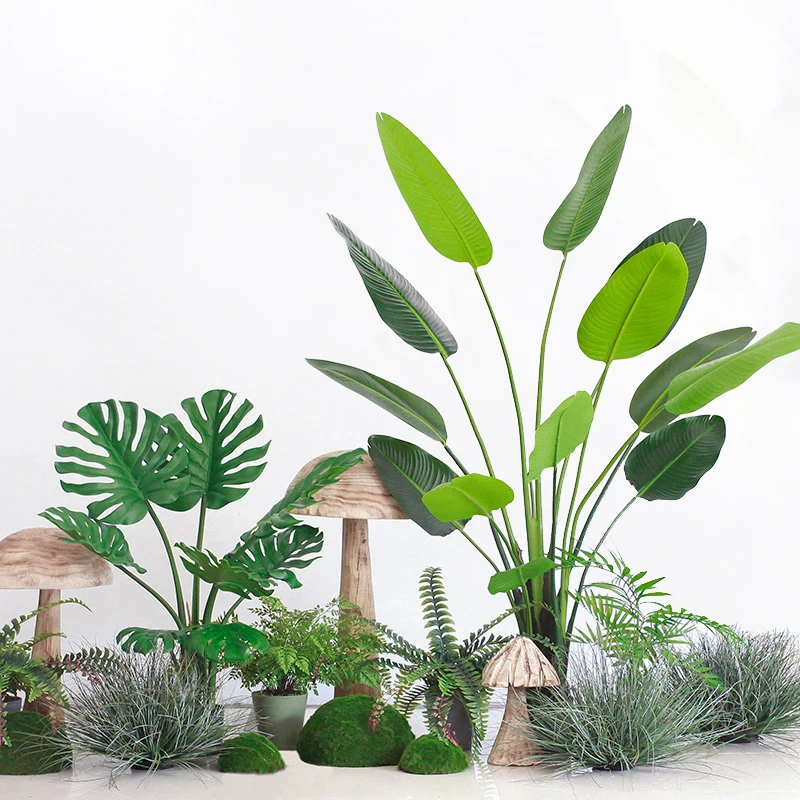 大きな観葉植物 バナナツリー：インテリアに最適な3Dデ  ザインと高さの選定ガイド