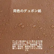 コーチMaggieトートバッグ【ダークブラウン・デュポン紙内袋】