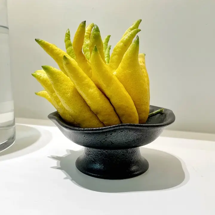 花瓶 水栽培ポット 陶器 ベルガモット 禅 和モダン 上品 クリエイティブ インテリア オブジェ ヒヤシンス