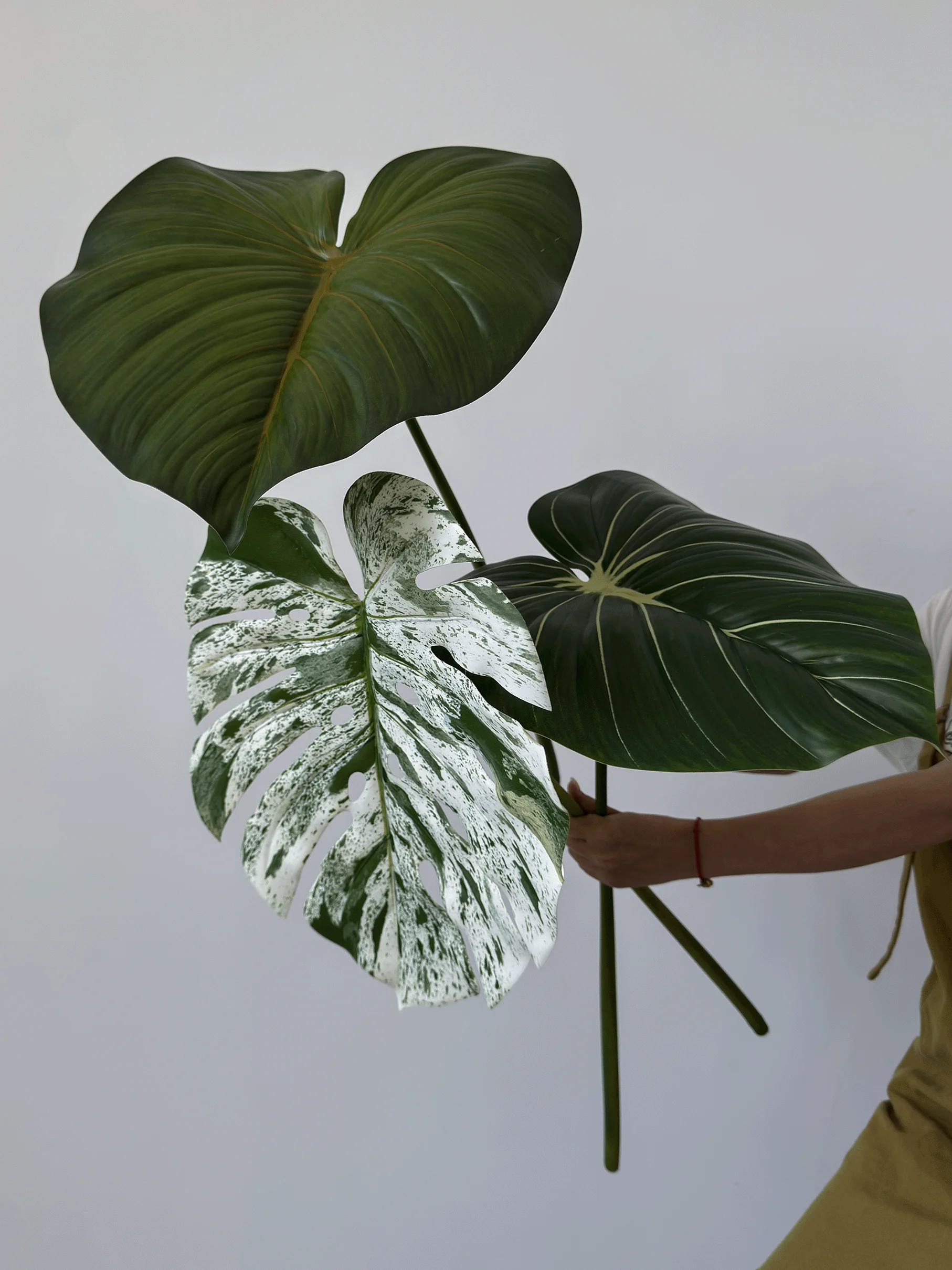 リアルな質感の人工観葉植物を選ぶには？見た目と暮らしの調和が鍵