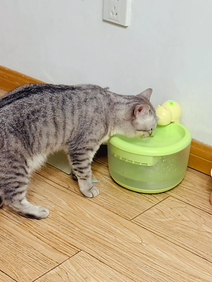 自動循環式猫用給水器【恒温加熱・フィルター付き・カートゥーンベアデザイン】