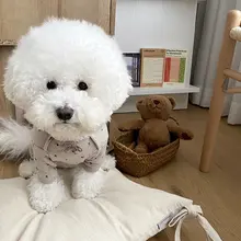 ペット服　小型犬 室内服 