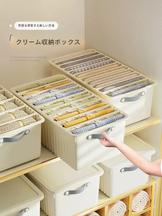衣類収納ボックス【家庭用・収納ボックス・引き出し式・プラスチック製】