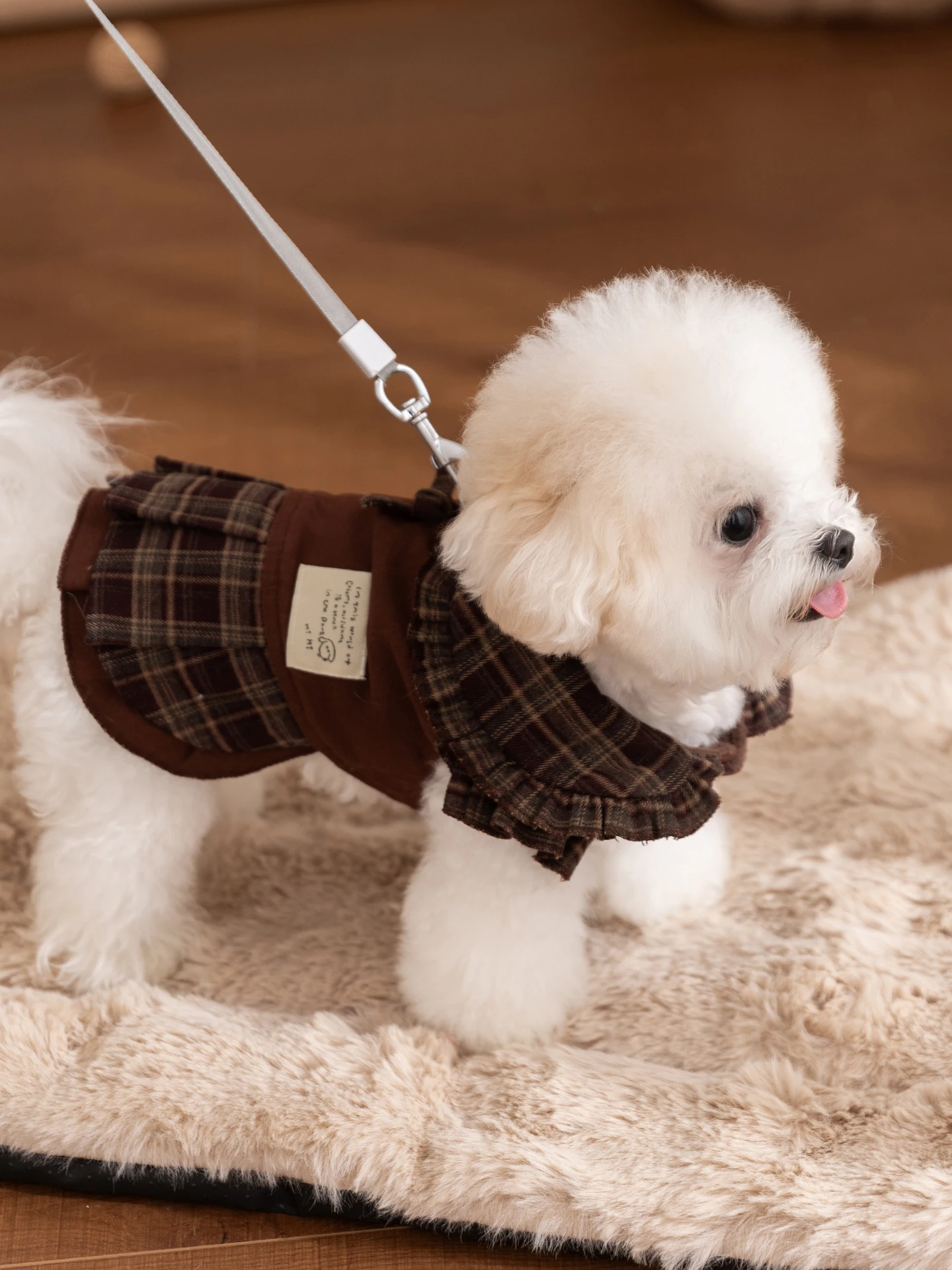 豆柴室内飼育に最適な秋冬犬服｜hipidogロミブラウン格子デザイン