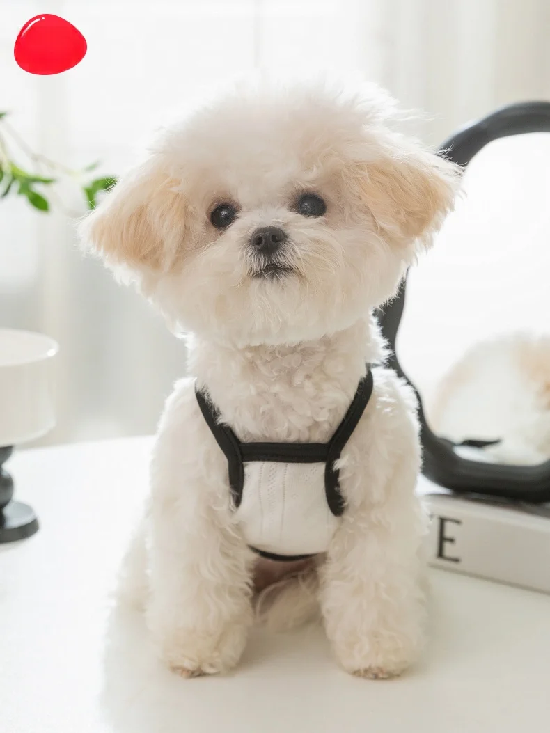犬用蝶結び付き通気性サスペンダー服：夏用薄手タイプの抜毛防止機能を実証