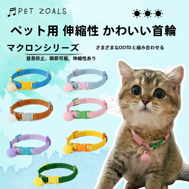 犬のお散歩グッズをコスパ良く揃える方法　安全・実用のバランスを徹底解説