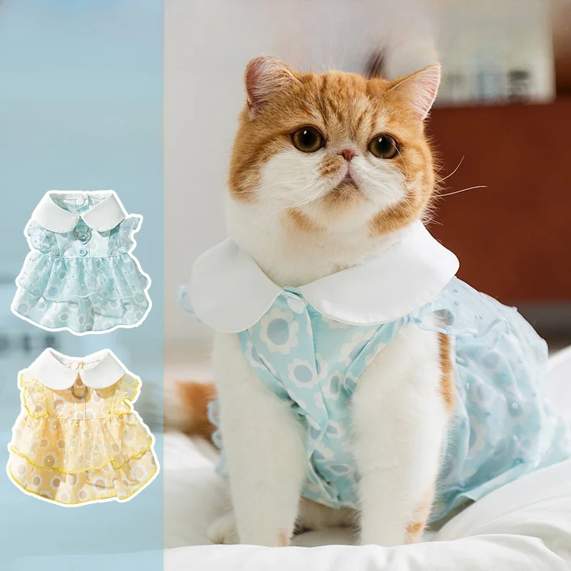 猫飼いが買ってよかったもの・悪かったもの、正直に言う！