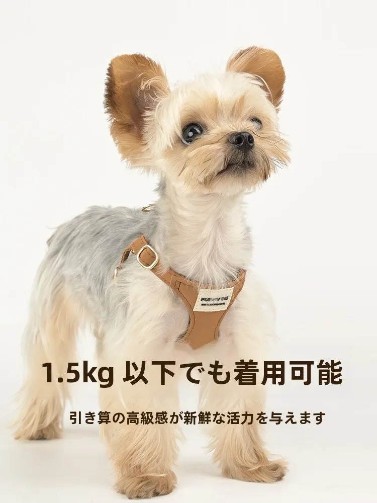 猫飼いが買ってよかったもの・悪かったもの正直に言う｜食器の選び方と猫のストレス解消