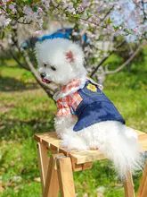 デニムサロペットワンピース【犬猫用・夏用・プリンセススタイル】（セットアップ対応）