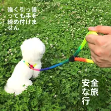グラデーションレインボー犬リード【小型犬用・ハーネス・外出用】
