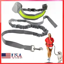 中型犬・大型犬用 散歩トレーニングリードセット【胸部ハーネス・ランニング用・テディ＆ゴールデンレトリバー対応】