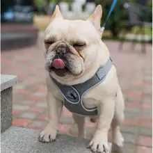 犬用X型ハーネスリード【フレンチブルドッグ・パグ・テディ・コーギー・柴犬・シャー・ボストンテリア対応】