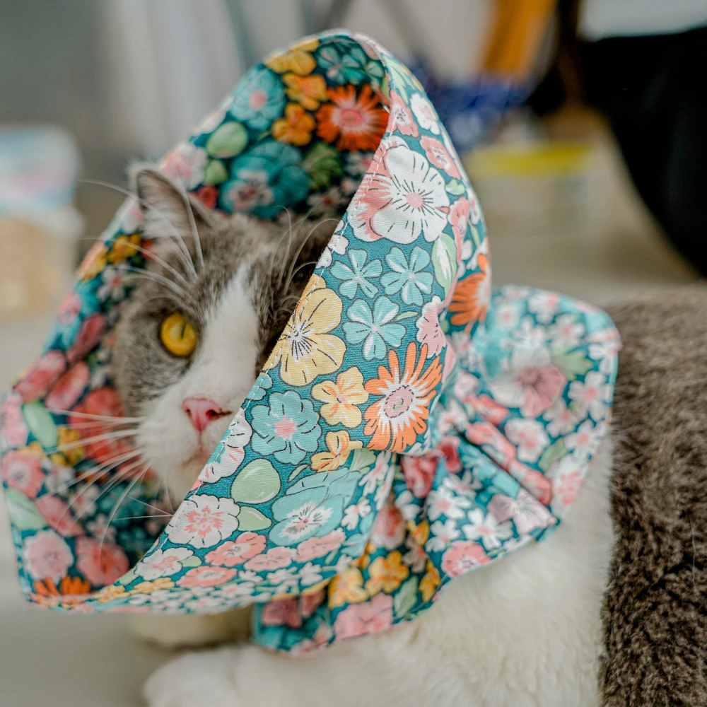 猫にかけるエリザベスカラーは、本当に必要なのか？