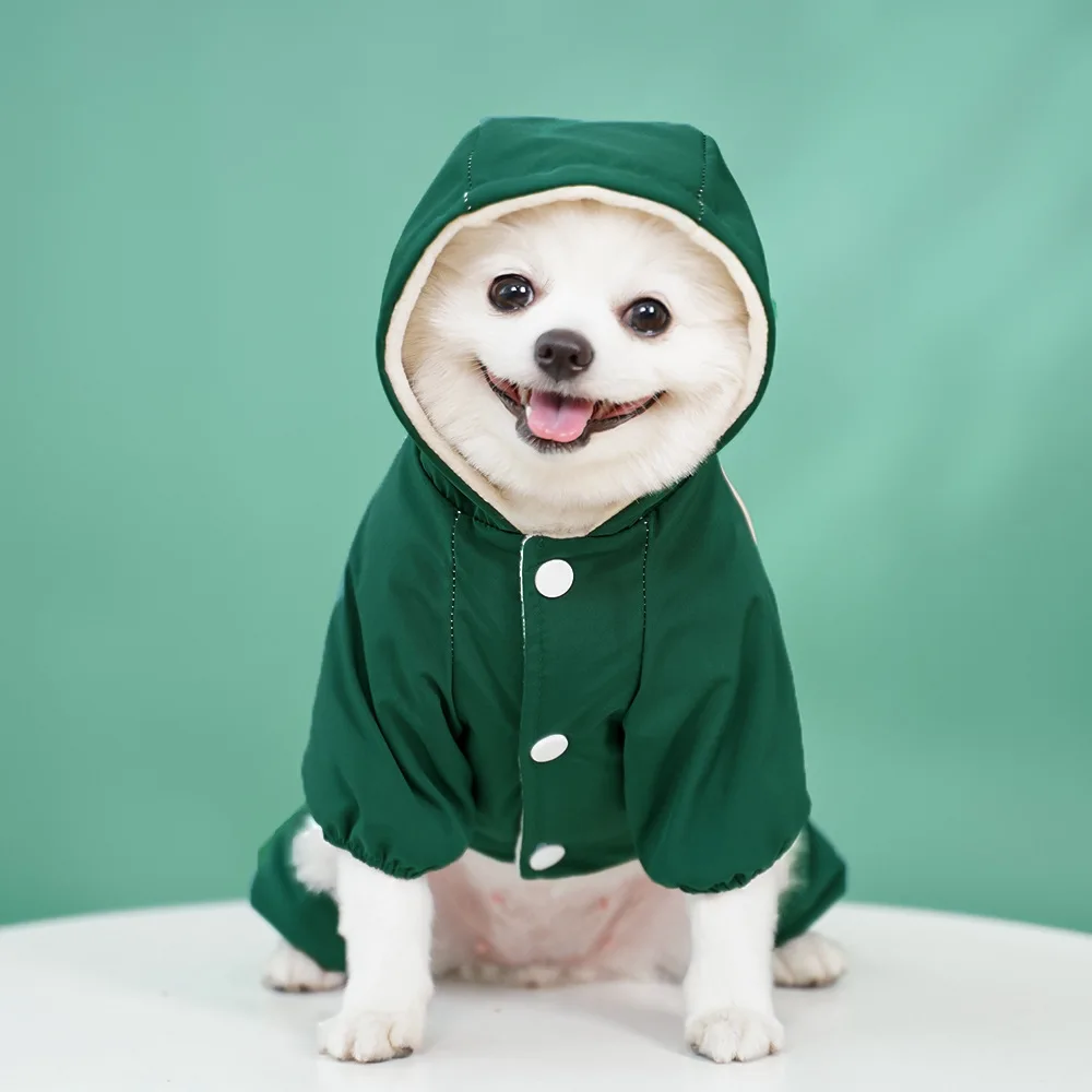 犬のお散歩グッズをコスパ良く揃える方法｜小型犬向け防寒コートの選び方と実際の使い方