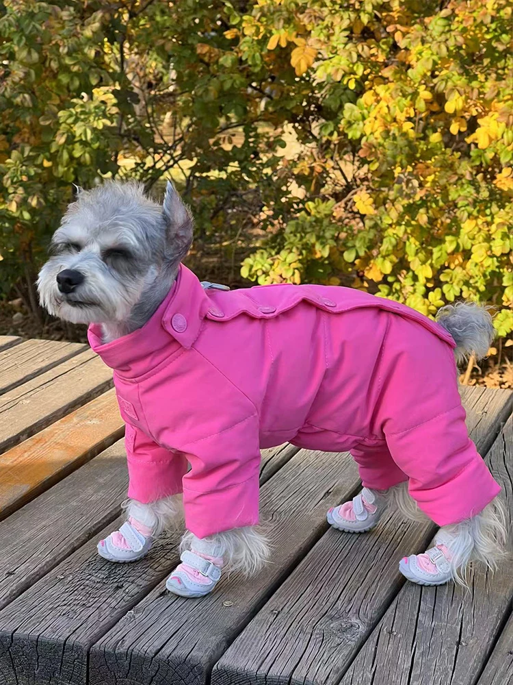 犬のお散歩グッズをコスパ良く揃える方法　チェコ素材の靴が実証する安心の選び方