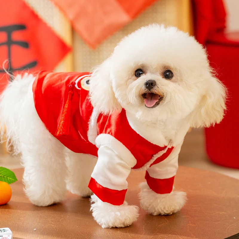 犬用衣服 テディ・シュナウザー キャップルコスチューム ドレス ドレススタイル