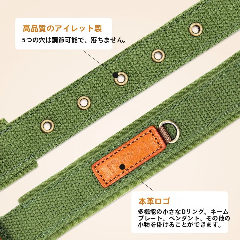 犬のお散歩グッズをコスパ良く揃える方法　完全ガイド