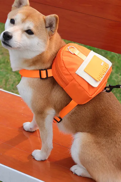 犬用リュック型ハーネス【チワワ・コーギー・テディベア・小型犬用】