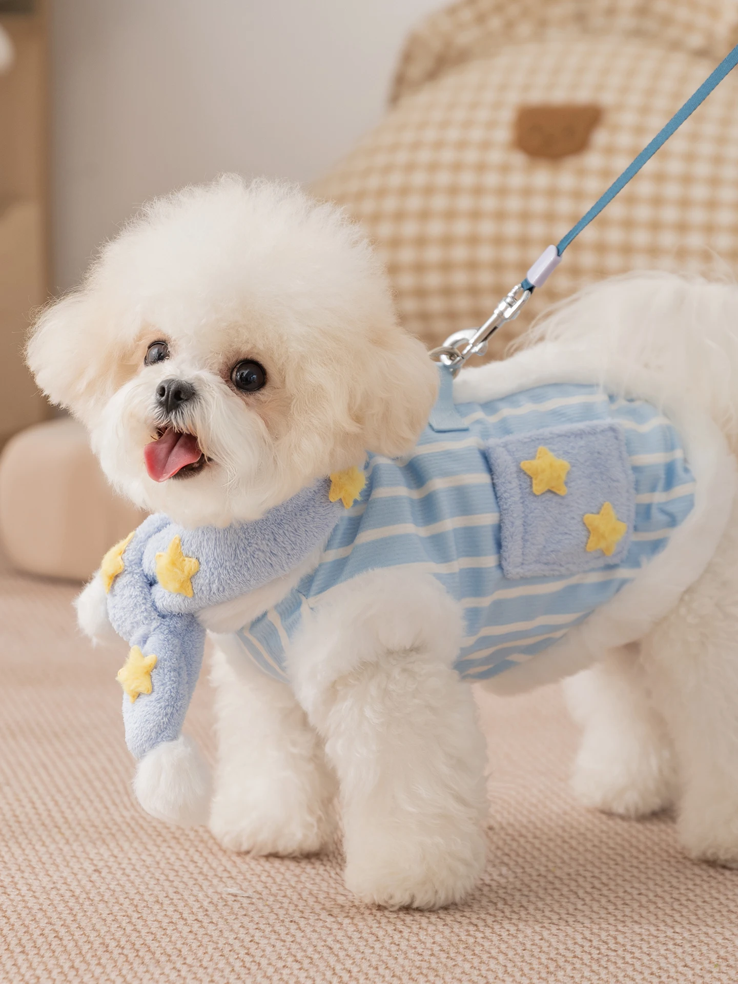 hipidog 小型犬用冬用ベスト：雪のようなデザインで冬の寒さをしっかり防ぐ