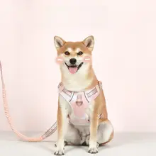 ペット用 中型・大型犬用ハーネス付きリード【胸部固定・移動用・軽量】