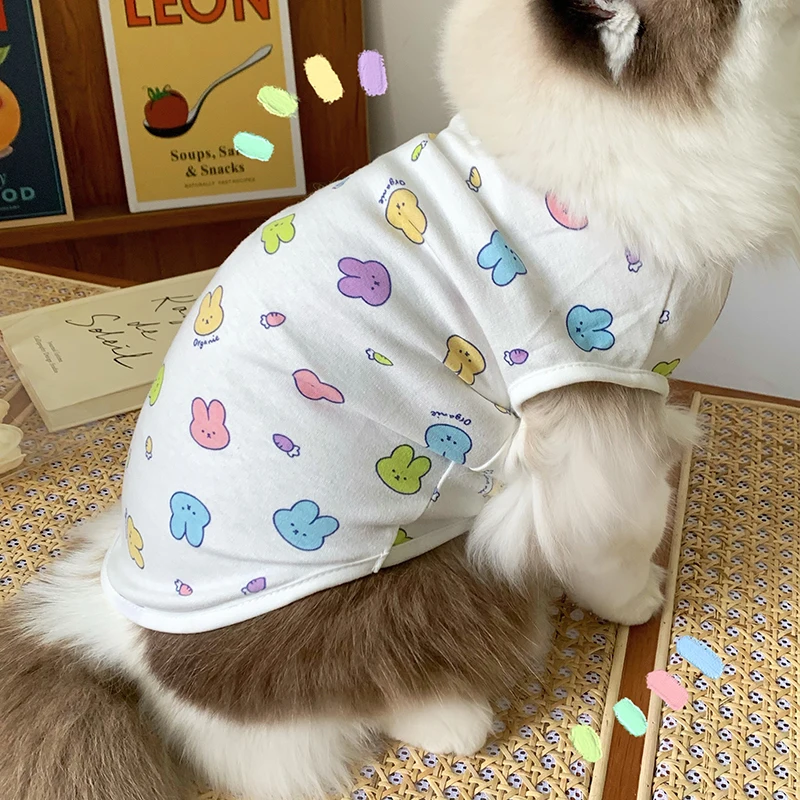 夏用犬猫服：休闲风格设计应对高温环境的实用解决方案