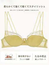 フランス製サテンレースブラジャー【細ストラップ・ソフトワイヤー・レトロデザイン】