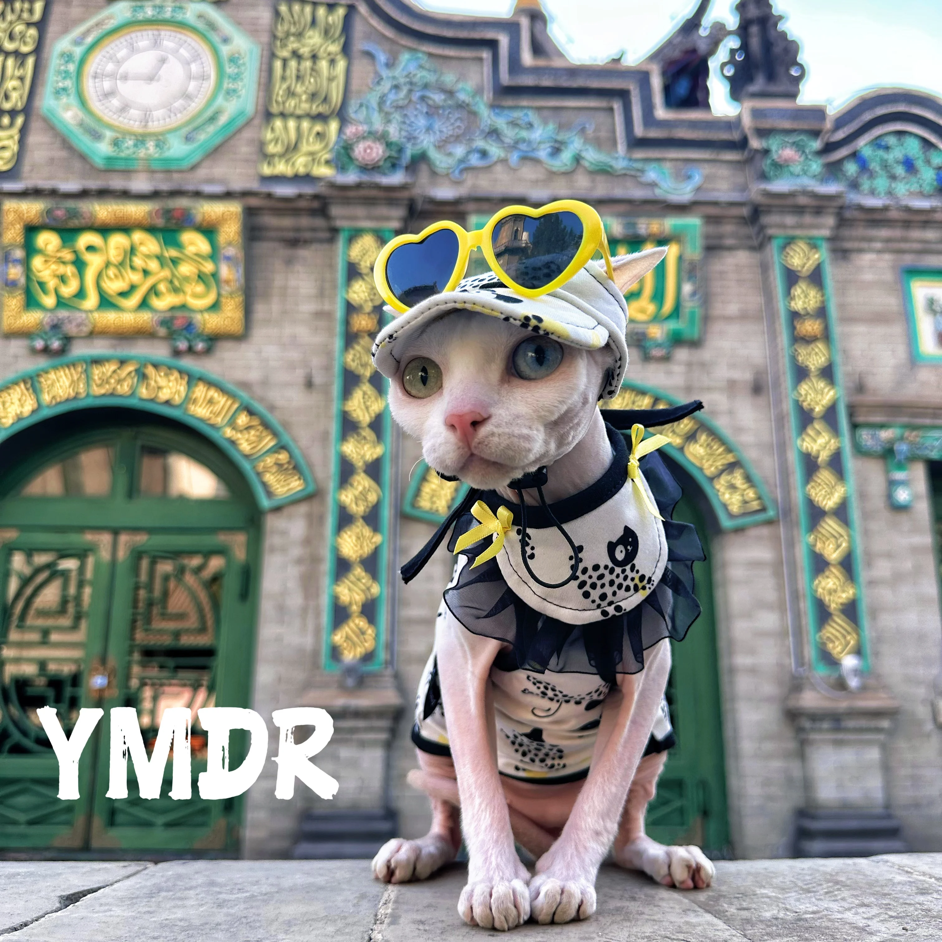 おしゃれなキャップを選ぶときに迷うなら、これで解決！無毛猫の吊り帯スタイルが注目される理由とは？