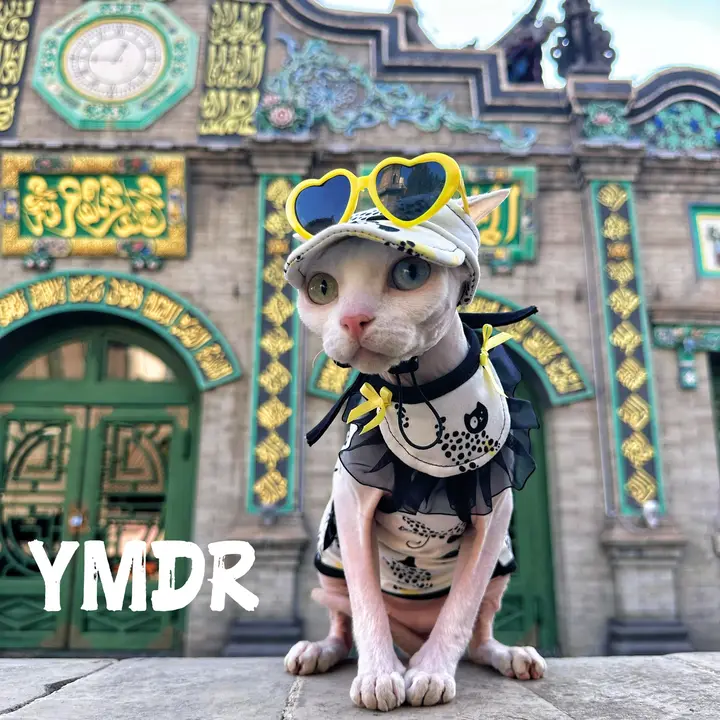 無毛猫 吊り帯 ペットよだれかけ 猫 野球帽 メガネ 綿夏用