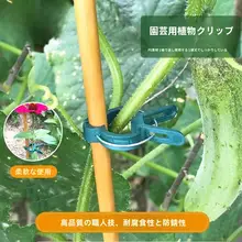 ガーデンクリップ 蘭クリップ 花固定 アイアンワイヤーガード プラスチックコーティングスチールパイプ 蝶蘭スタンド