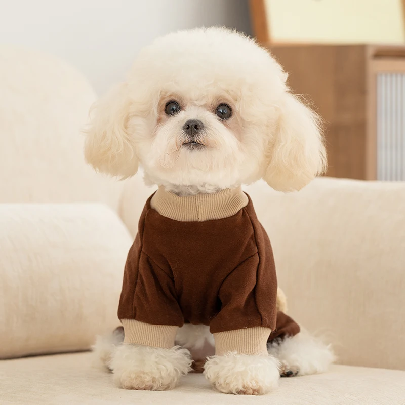 可愛い立体小熊デザインの犬用ホームウェア：秋冬期の小型犬向け着用実績と毛抜け防止効果
