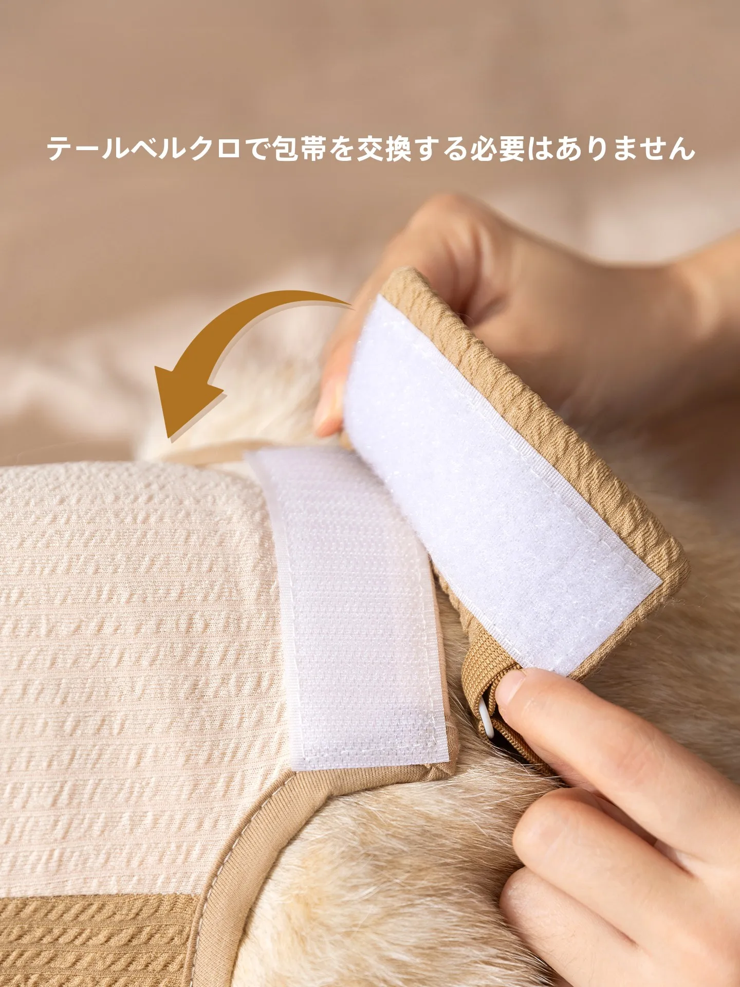 hipidog 2510SXMJ0640：一人暮らしの猫に最適な通気性手術服の選定ガイド