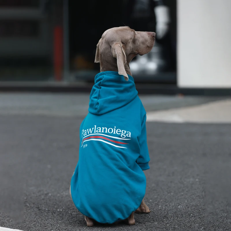 大型犬用ペット服：秋冬対応の保温スウェットシャツ選び方