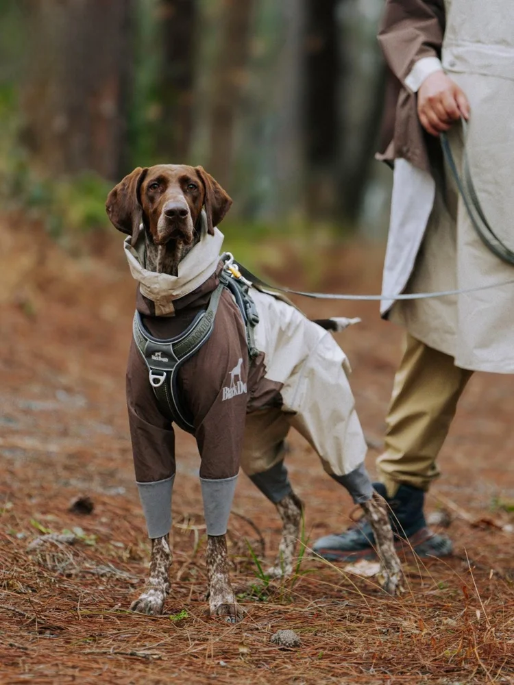 犬のお散歩グッズをコスパ良く揃える方法 - 軽量防水防汚レインコートの選定基準