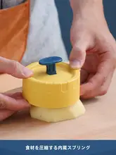 ステンレス製 家庭用野菜スライサー【多機能・ポテトスライサー・にんにく・大根対応】