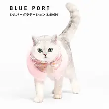 犬猫用中華風刺繍衣装【小型犬・猫用・ペット服・お祭り用】