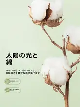 全棉 抗菌ベッドマット保護カバー【学生寮用・ベッドカバー単品】