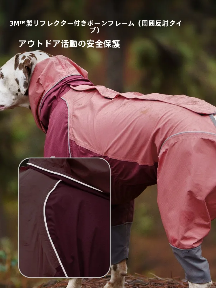 犬のお散歩グッズをコスパ良く揃える方法 - 軽量防水防汚レインコートの選定基準