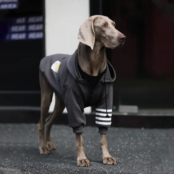 大型犬用 秋冬セーター【防毛・ゴールデ Retriever・ラブラドール・ハスキー対応・おしゃれデザイン】