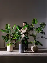リアルな観葉植物の鉢植え ゲンペイチク 装飾品 屋内植物 景観