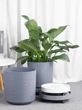 北欧風 大型樹脂プランター【厚手・耐久性・丸型・トロピカル植物用】
