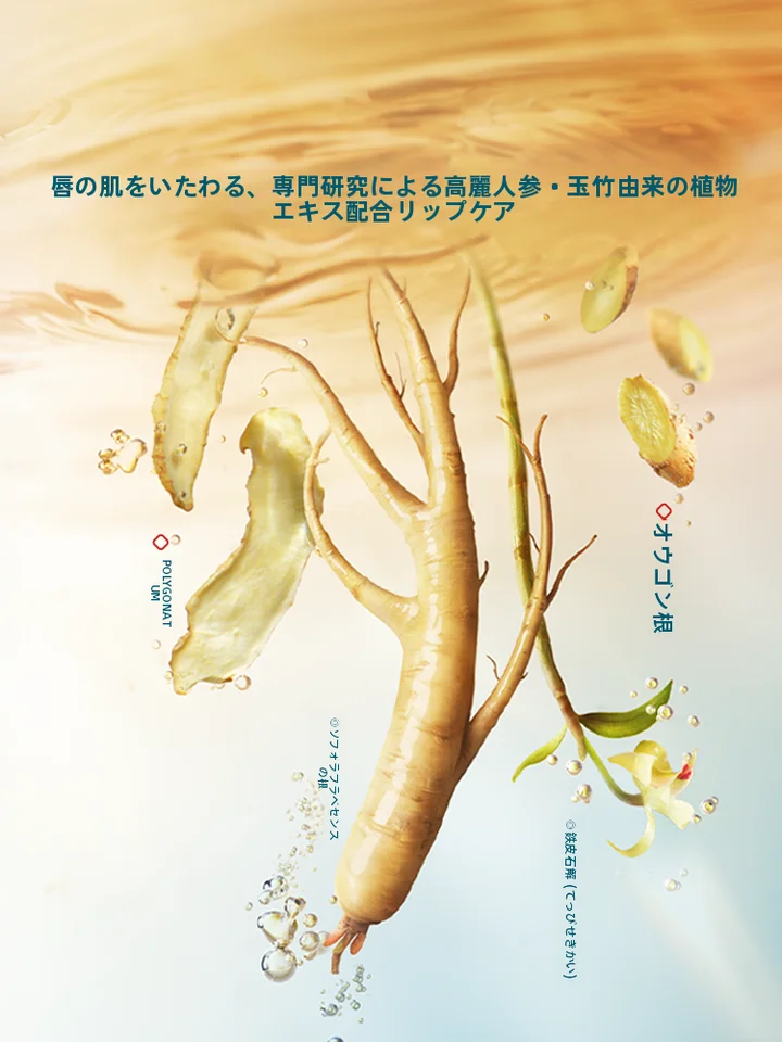 Florasisフローラシス 保湿効果抜群！唇用リップマスク【死皮除去・唇のシワ・潤い補給】