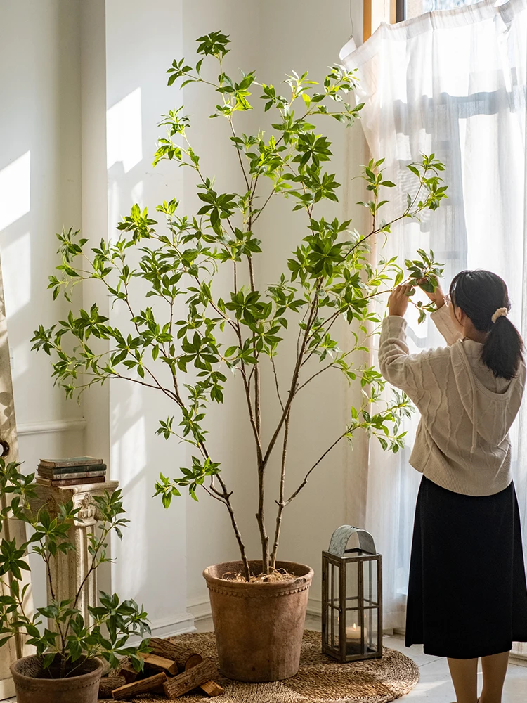 おうち時間を豊かにするおすすめアイテム｜人工植物と仕切りカーテンの徹底解説