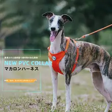 マカロンカラーの布製犬用ハーネスとリード【ノー打孔・快適設計】