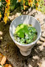陶製植木鉢【ビンテージ風・多肉植物・透湿性・大口径】