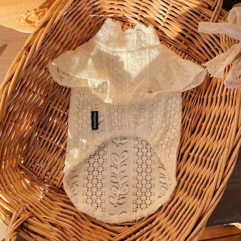 春夏用レースペットシャツ：初心者向けの通気性と快適性を実現