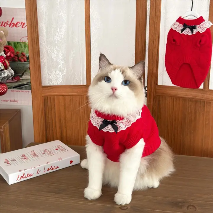 ロリータ風猫ニットセーター【秋冬用・レース付き・赤・暖かさ・お祝い用】（セットアップ対応）