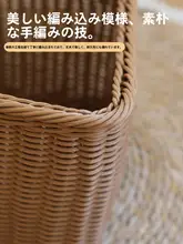 三角形プラスチック製収納バスケット【扇形・玄関用・コーナー収納】