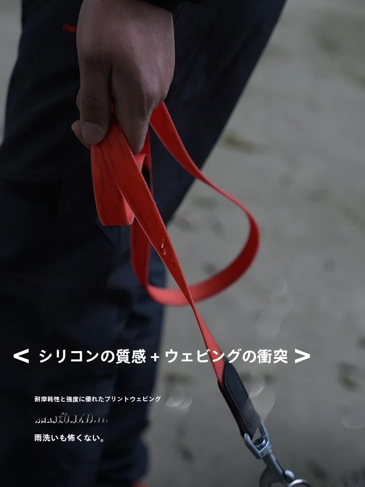 犬のお散歩グッズをコスパ良く揃える方法｜防水リードの実測ガイド