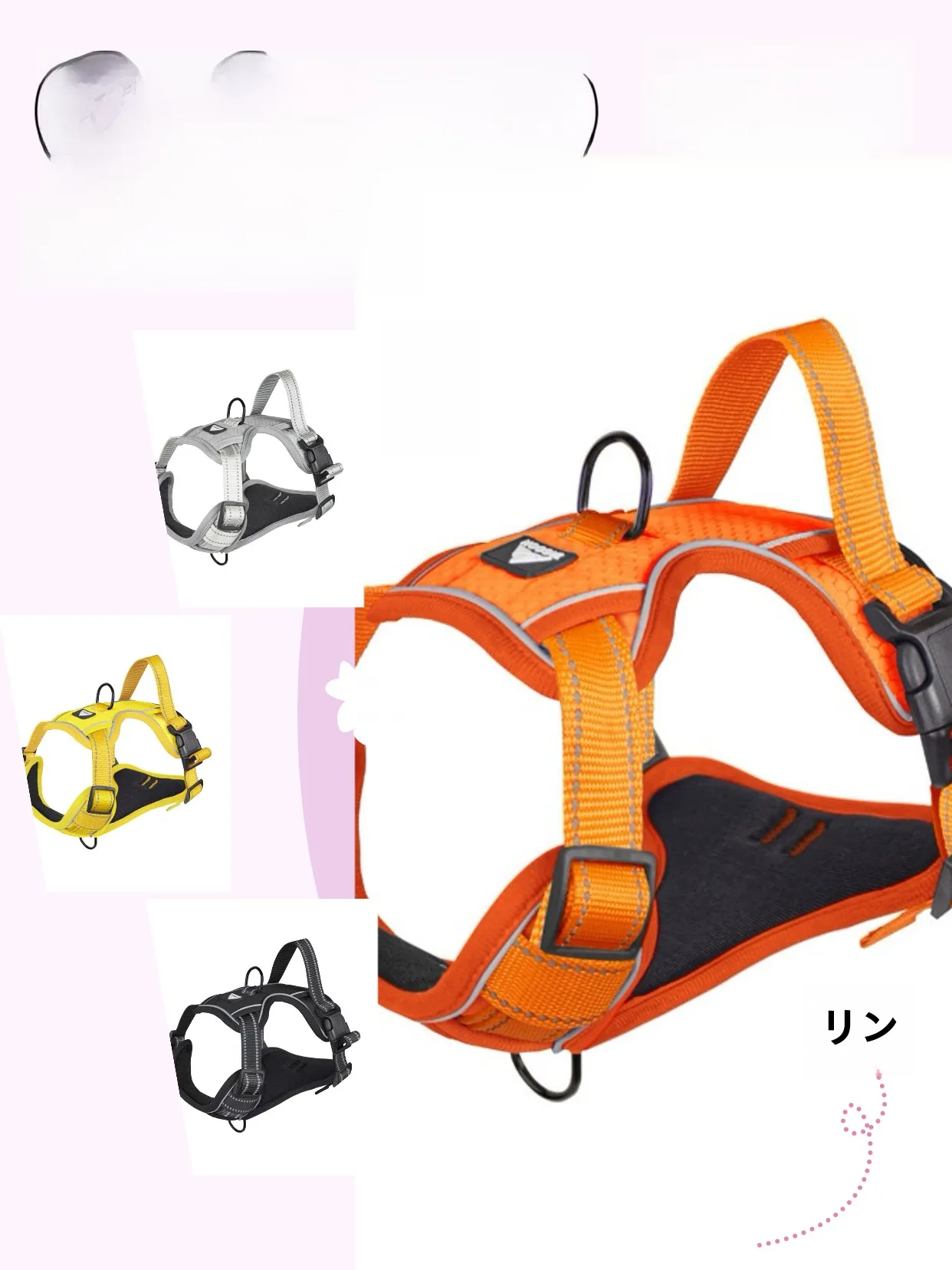 犬のお散歩グッズをコスパ良く揃える方法｜胸部保護付きハーネスの実測ガイド