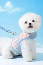 シンプルで可愛い犬用ハーネス付きリード【小型犬用・テディ・ビションフリーゼ対応】